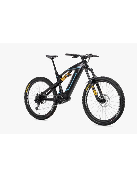 Focarini  CATRIA 1701 - ASKOLL