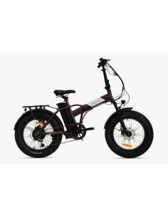 Focarini Fat 2