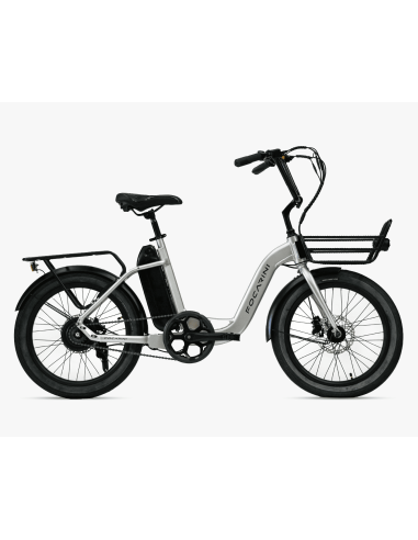 BICI ELETTRICA FAT BIKE MISURA 20 Focarini Riviera E-BIKE BICICLETTA OMOLOGATA 20 X 3.0 MOTORE 36v 250W 45 NM BATTERIA 500WH
