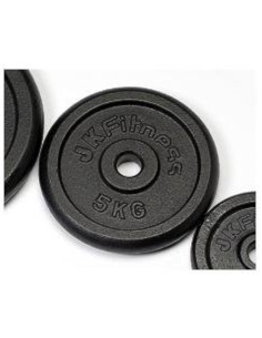 DISCO GHISA Ø 26 mm Kg 5 DG5
