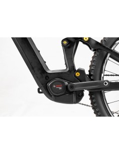 B-RUSH C12.5 BLACK/GOLD 2