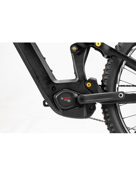 B-RUSH C12.5 BLACK/GOLD