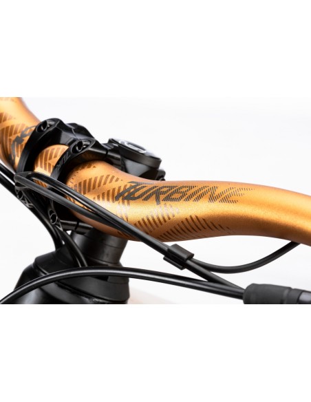 B-RUSH C12.5 BLACK/GOLD