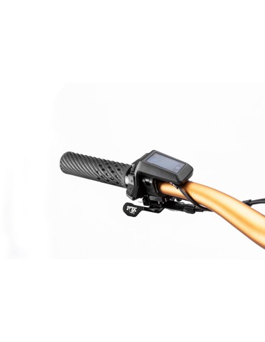 B-RUSH C12.5 BLACK/GOLD