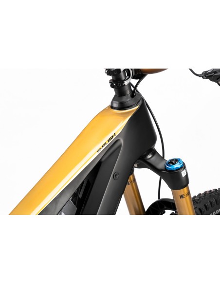 B-RUSH C12.5 BLACK/GOLD