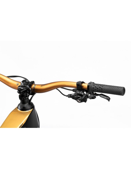 B-RUSH C12.5 BLACK/GOLD