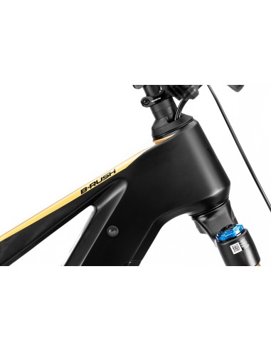 B-RUSH C12.5 BLACK/GOLD