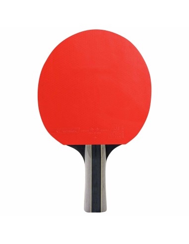 Set SPORT PACK DUO 2* ITTF (2 racchette & 3 palline) 432050