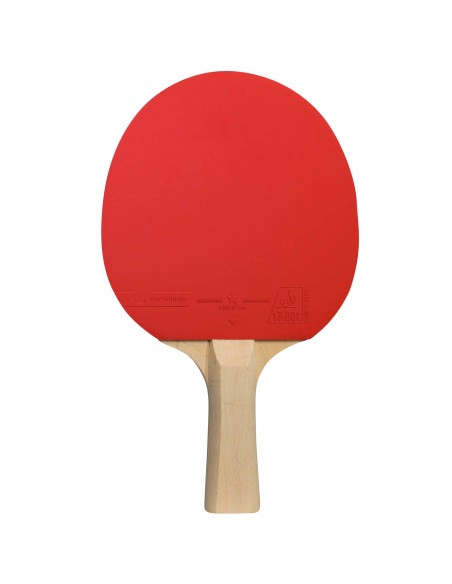 Set FAMILY Pack INDOOR (Cover Sport & 4 racchette Sport 100 & 6 P-ball 2*)