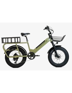 Focarini Cargo city