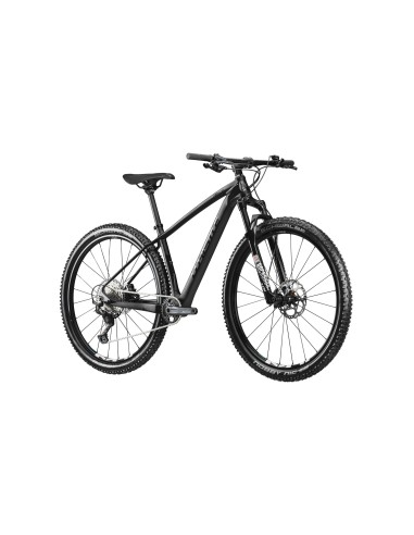 MOJAG 29 2161 12 CARBON