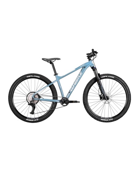 PATWIN 29 MAN 2380 LT12