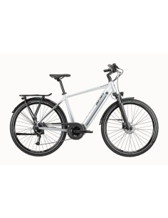 CLEVER 8.5 MAN SILVER SATIN 5WS