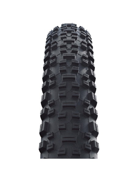 COP.SW 29x2.10 (54-622) RAPID ROB ACTIV LINE 2019
