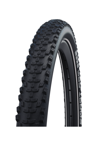 COP.SW 29x2.10 (54-622) SMART SAM PLUS ADD HS624 R