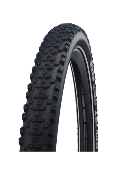 COP.SW 29x2.10 (54-622) SMART SAM PLUS ADD HS624 R