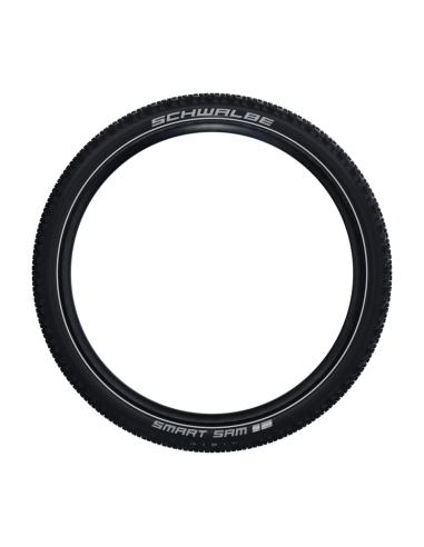 COP.SW 29x2.10 (54-622) SMART SAM PLUS ADD HS624 R