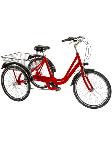 BICI TRE RUOTE 24 6V