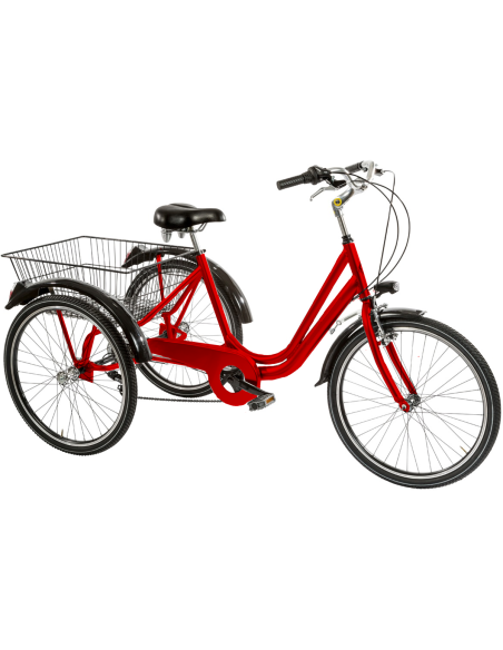 BICI TRE RUOTE 24 6V