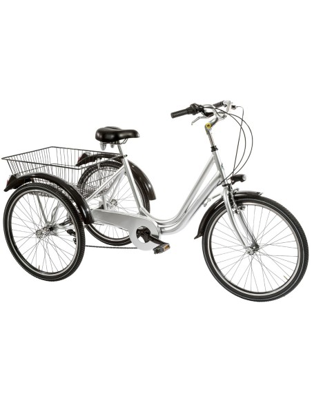 BICI TRE RUOTE 24 6V