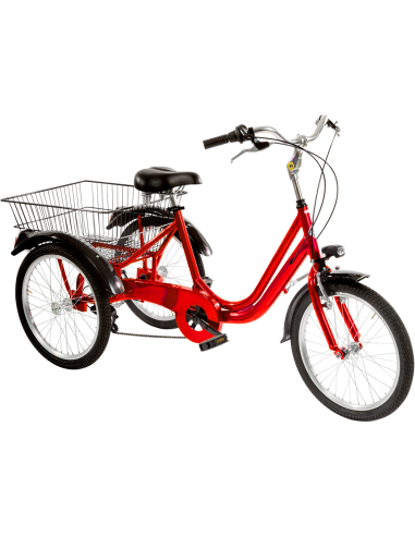 BICI TRE RUOTE 20 6V