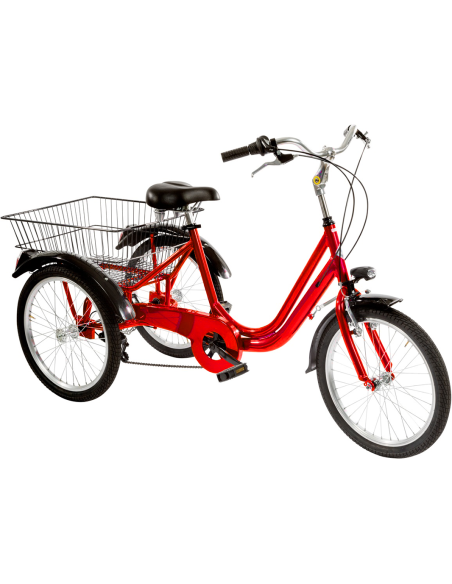BICI TRE RUOTE 20 6V