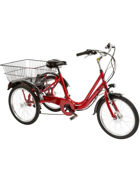 BICI E-BIKE TRE RUOTE 24 6V ANSMANN 36V-11,4AH MOTORE POSTERIORE