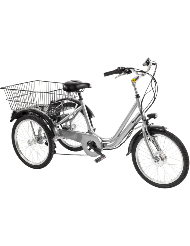 BICI E-BIKE TRE RUOTE 20 6V ANSMANN 36V-11,4AH MOTORE POSTERIORE