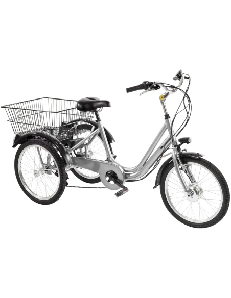 BICI E-BIKE TRE RUOTE 20 6V ANSMANN 36V-11,4AH MOTORE POSTERIORE