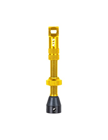 Tubeless valves set INSERT BRO FV 44mm gold