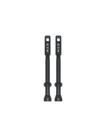 Tubeless valves set FV 60mm