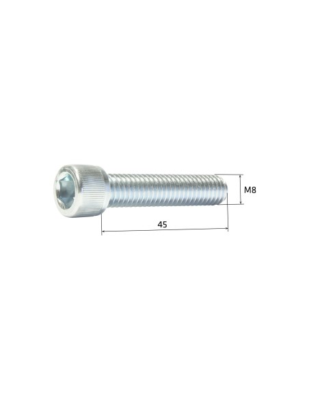 Screw M9 x 45 with inbus head