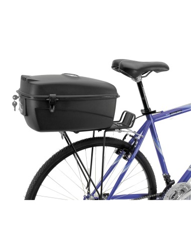 BAULETTO AL PORTAPACCO M-WAVE AMSTERDAM BOX L