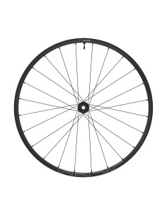 RUOTA 29 SHIM. ANT. MT601 PP BOOST 15x110 TLR CENT 2