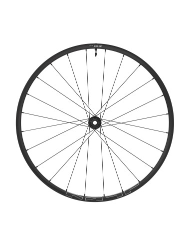 RUOTA 29 SHIM. ANT. MT601 PP BOOST 15x110 TLR CENT