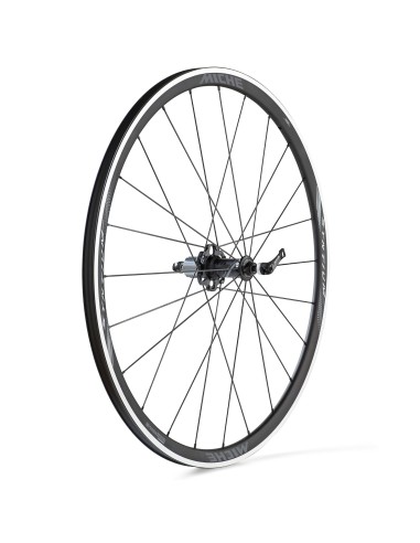 RUOTE 28 MICHE SYNTIUM PRO COP SHIMANO COPERTONCIN