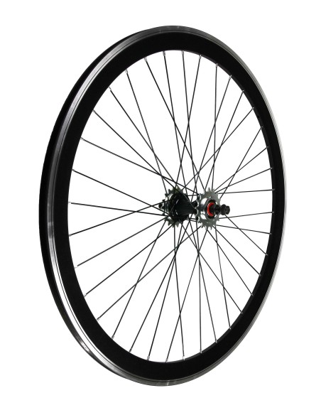 RUOTE 28 FIXED 40MM SILVER NATURALE SU CUSCINETTI