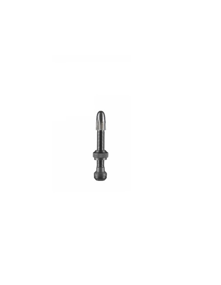 VALVOLE TUBELESS PRESTA SCHWALBE  40MM KIT 2PZ 021