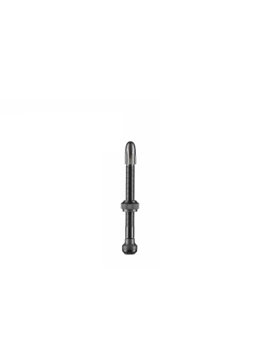 VALVOLE TUBELESS PRESTA SCHWALBE  60MM KIT 2PZ 021