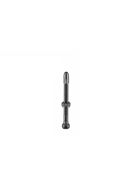 VALVOLE TUBELESS PRESTA SCHWALBE  60MM KIT 2PZ 021