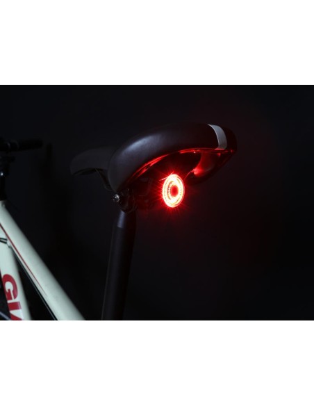 FANALE BONIN B-STAD POST. RIC. USB C