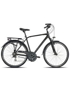 CICLO 420 PARTNER 48 ACERA 21V