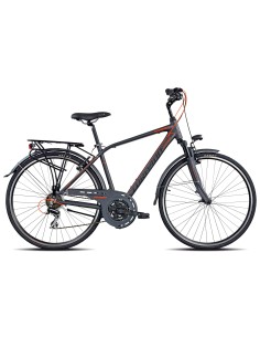 CICLO 420 PARTNER 48 ACERA 21V 2