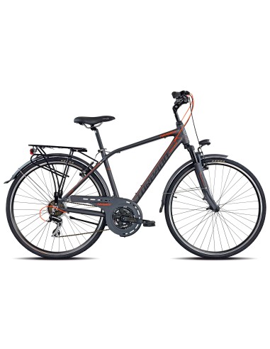 CICLO 420 PARTNER 48 ACERA 21V GRIGIO