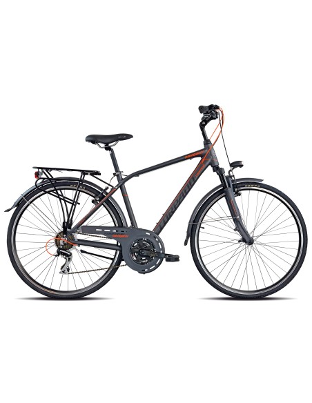 CICLO 420 PARTNER 48 ACERA 21V GRIGIO