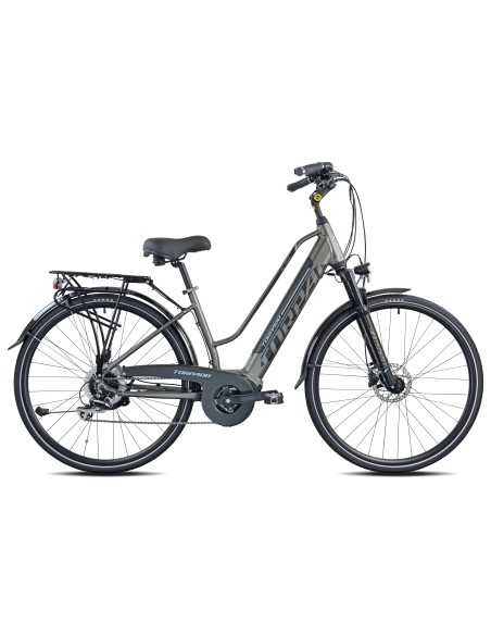 E-BIKE 28 ALTEA 9V ANANDA 44 36V12.8AH