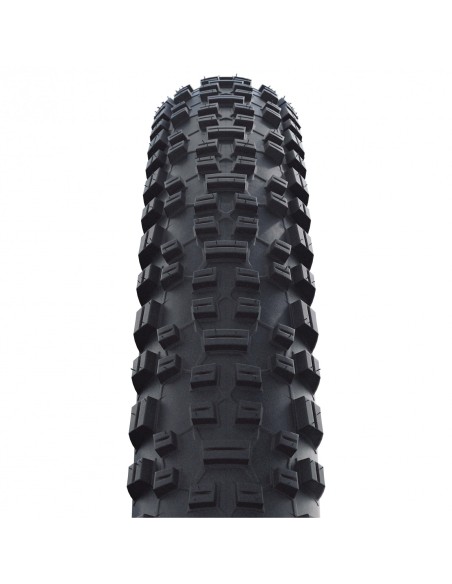 COP.SW 29x2.25 (57-622) RAPID ROB ACTIVE LINE 2019
