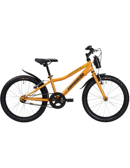Vulcano  Sport single speed 20