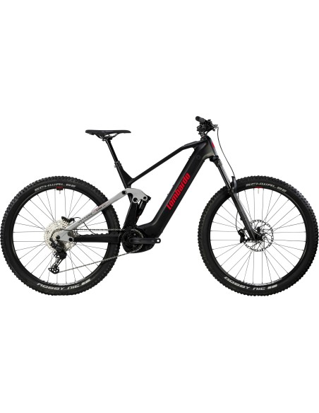 Vettore 29