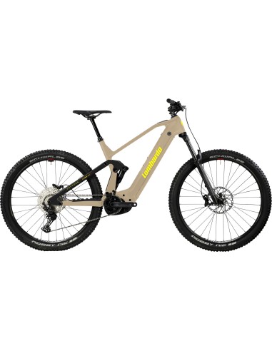Vettore 29